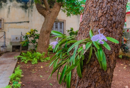 casa particular veronica alquiler renta